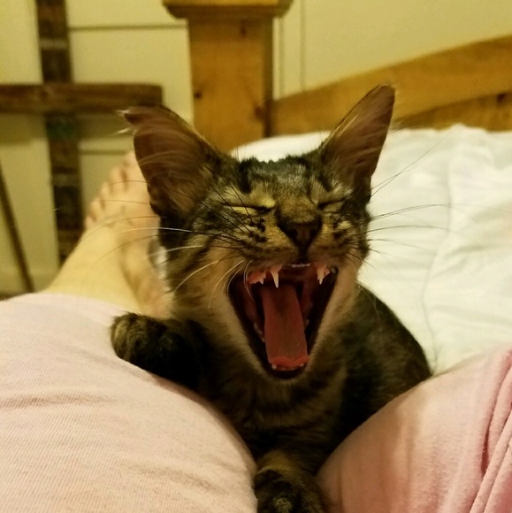 My name is Crystal. 💞 - Picture 1 of 1